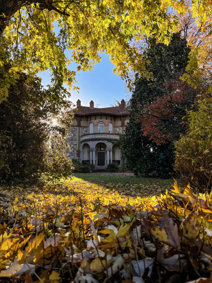 Collection 100 photo by Federico Fiorentini