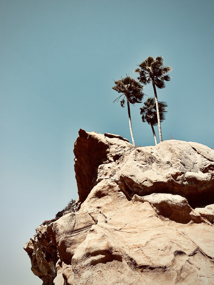 Collection 91 photo by Cam Green
