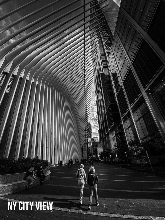 Collection 26 photo by Utsha Guha