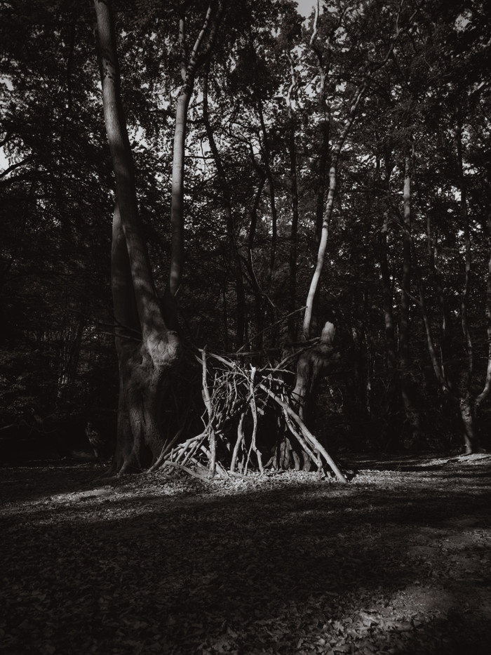 Collection 107 photo by Adam Brown