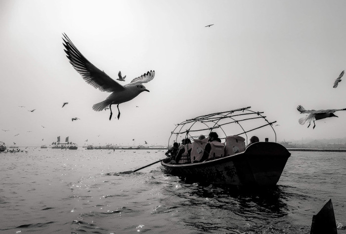 Collection 19 photo by Mithu Chakraborty