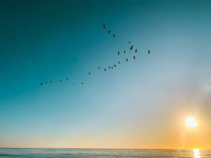 Collection 25 photo by Utsha Guha