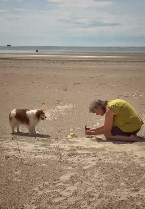 Els Baltjes