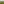 Imagen realizada en un entorno espectacular, buitres leonados tomando el sol y como telón de fondo la sierra de Gredos, con sus últimas nieves en sus cumbres. Es un regalo de la naturaleza poder disfrutar este momento efímero.