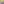 Lupine in Pastels