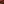 Autumn is a favourite season with a richness of colour and texture