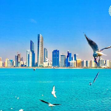In capturing this beautiful shot,  I focus on the feelings each seagull evokes! This daylight reflections encompass hopes & dreams.
