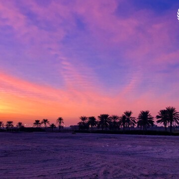 This mesmerizing view was shot outside one of the horse stables near Meydan race course road in Dubai. The perfect sunrise along with the blend of palm trees make the picture very intoxicating. For a moment I felt that I am in Florida. It was a moment of "Deja-Vu". 