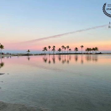 The setting sun colors the early evening sky over Matheson Hammock Park in Coral Gables, South Florida, where palm trees are reflected in the still waters of a small lagoon.