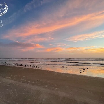 In an early morning walk I captured sea birds gathering on the seashore and beautiful pink clouds from the light of dawn at Ormond Beach in Florida.