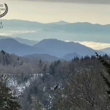 This is a view over the Great Smoky Mountains, which live up to their name in this photo for the blue mist that at times hangs over the peaks and in the valleys. The Cherokee Indians called them Shaconage or "place of the blue smoke". <br />
