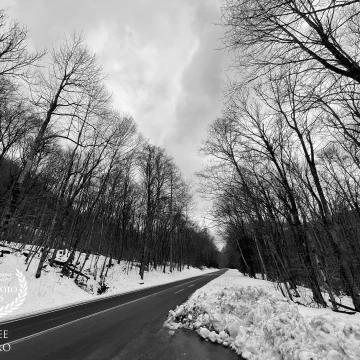 This black and white picture shows the Great Smoky Mountains National Park turned into a Winter Wonderland during snowfall in February as I drove up into the heights past leafless trees standing sentry on the cleared roadway.<br />
