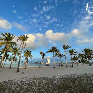 Just before sunset, puffy white clouds dot a blue sky over the palm trees that ring a man-made atoll pool at Matheson Hammock Park in south Miami. 