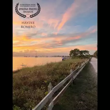 The sunset sketches the evening sky with color over the water off Key Biscayne in Miami, Florida, just as a tarpon jumps out of water in the foreground.
