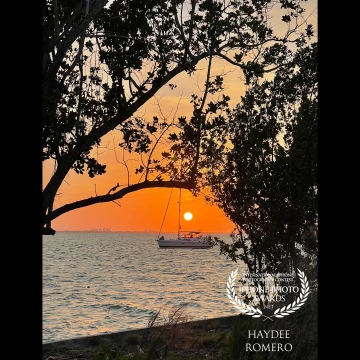 The sunsets behind an anchored sailboat framed by trees on the shoreline at the Bill Baggs state park on Key Biscayne, Florida.