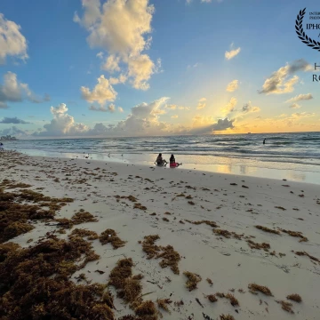 Like many other people I love to go for walks on the beach early mornings, while others sit on the wet sand at Miami Beach to watch the sun rise amid puffy clouds.