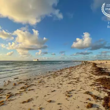 A cruise liner sits at anchor off Miami Beach as the sun rises. People walking and riding bikes navigate their way through seaweed left piled up on the sand by overnight tides.