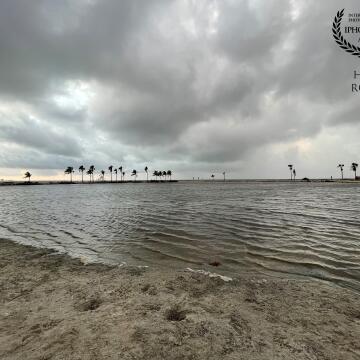 In an early morning walk I see Palm trees ring a wading pool under gathering storm clouds at Matheson Hammock park in Coral Gables, south Florida.