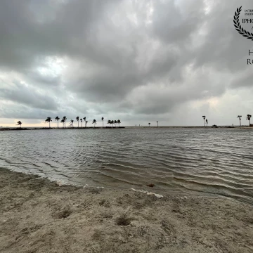 In an early morning walk I see Palm trees ring a wading pool under gathering storm clouds at Matheson Hammock park in Coral Gables, south Florida.