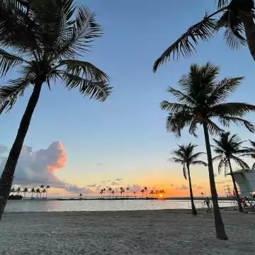 The sun rises, spreading orange colors across the tropical sky, behind dark palm trees at a wading pool in Matheson Hammock Park in south Miami, Florida.