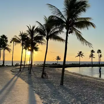The sun rises behind palm trees by a wading pool at Matheson Hammock Park in south Miami, Florida, casting long lines of shadow across the light-colored sand. A women in a yoga pose salute to the rising sun.