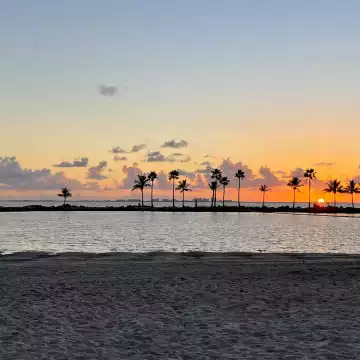 Another beautiful sunrise where  the palm trees rise up against patchy clouds as the sun starts to come out in Matheson Hammock Park in south Miami, Florida.
