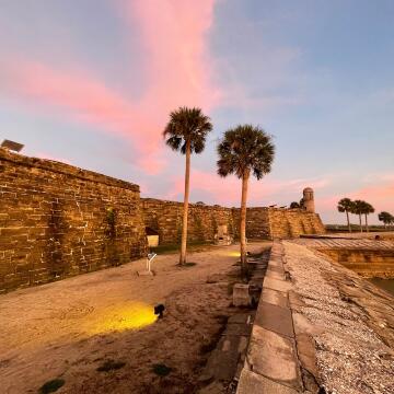 A couple of palm trees poke out of the dirt of a path around the Castillos de San Marcos fort in St Augustine,  while the early morning sun paints the clouds in the sky with pink.