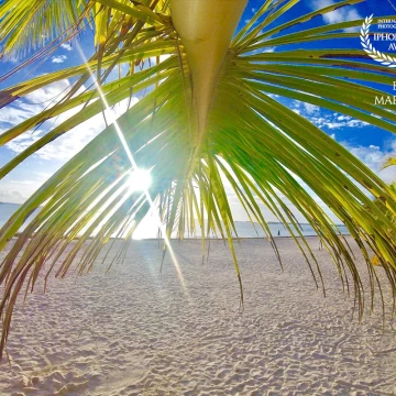 There’s no better way to start the day, than to catch a sunrise on the beach. Recently I was given the opportunity to do so over Bavaro Beach, which is located in Punta Cana, Dominican Republic. The glimmer of the sun beginning to peak through and shining down gave me the light and literally showed me it would be a bright day for sure! 