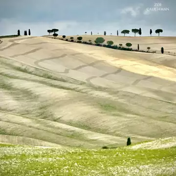 Tuscany countryside; my fairytale from a distant childhood storybook. It became reality when I finally found Val D’Orcia during my trip to Italy.