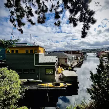 “Earthy peephole.” Lake Union, Seattle.
