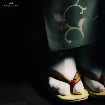 Traditional Japanese formal footwear, called “Zori,” worn under Kimono usually paired with “Tabi” socks. This was captured in a hot spring hotel up in a forest town in South Western Japan.