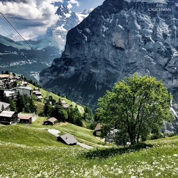 View from Swiss Alps.