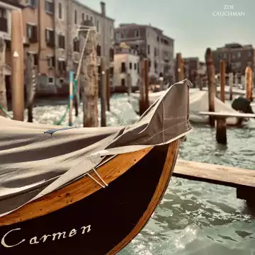 Scene in Venice.