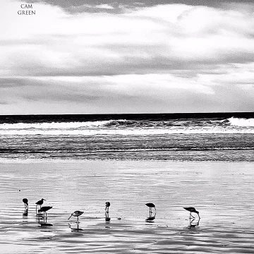 “Heads in the sand.” Huntington Beach, CA.