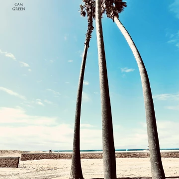 “Meeting up.” Huntington Beach, CA.