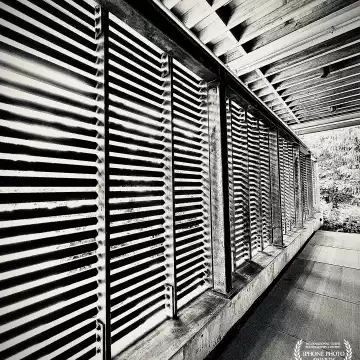 "SPF 75-ish." Bellevue, Washington.