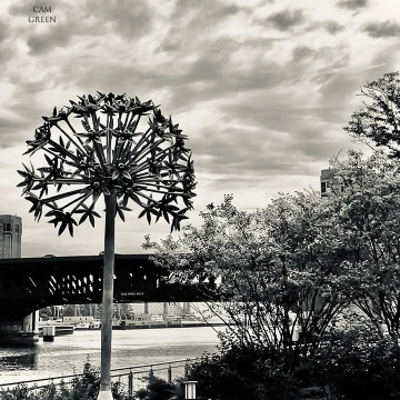 "Dandy Lion." Chicago, Illinois.