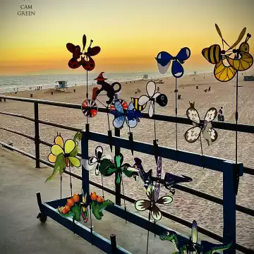 "Awaiting rescue." Huntington Beach Pier, CA.
