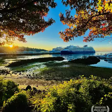 "Credit Mother Nature." Magnolia, WA.