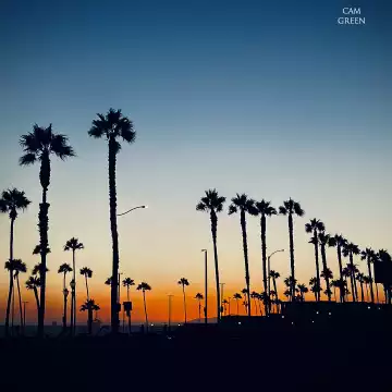 "Standing tall." Huntington Beach.