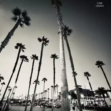 "Leaning in." Huntington Beach, CA.