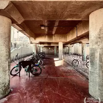 "Free parking." Huntington Beach Pier, CA.
