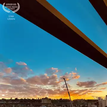 “Early riser.” Sea-Tac, WA.