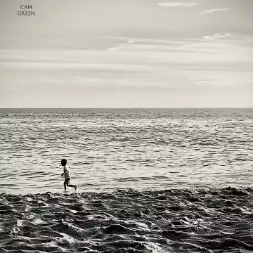 “Wait for me.” Shaw Cove, CA.