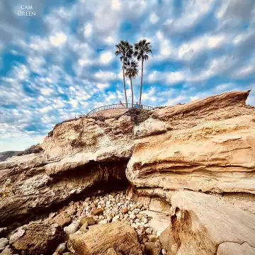"Triumvirate." Laguna Beach Bluffs, CA.
