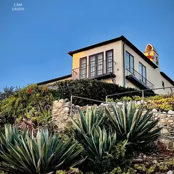 "Perfectly perched." Shaw's Cove, CA.