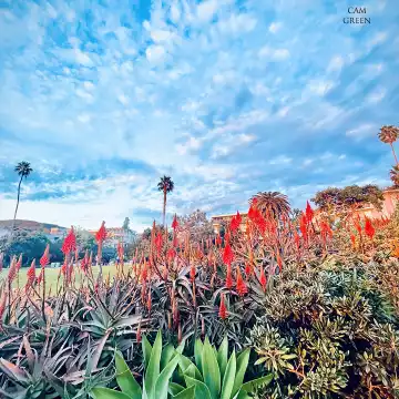 "Earth rainbow." Laguna Beach, CA.