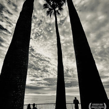 "Sunset silhouettes." Laguna Beach, CA.
