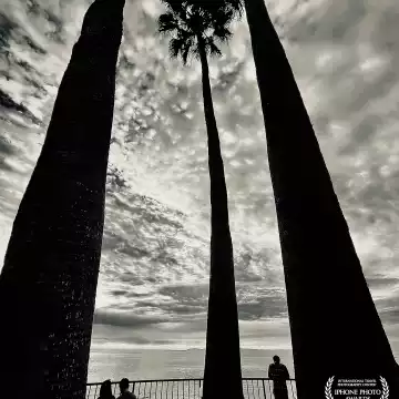 "Sunset silhouettes." Laguna Beach, CA.