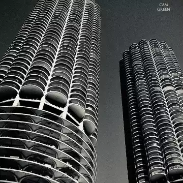 “Towering Twosome.” Chicago, IL.